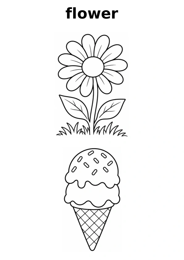 Read the word flower and choose between two pictures to colour