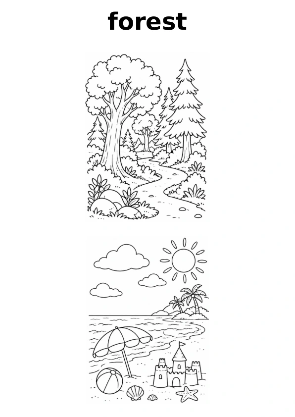 Read the word forest and choose between two pictures to colour